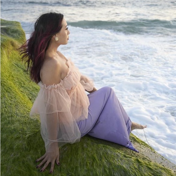 On Twelth off-shoulder blush tulle ruffle babydoll blouse sheer sleeves - Picture 2 of 3